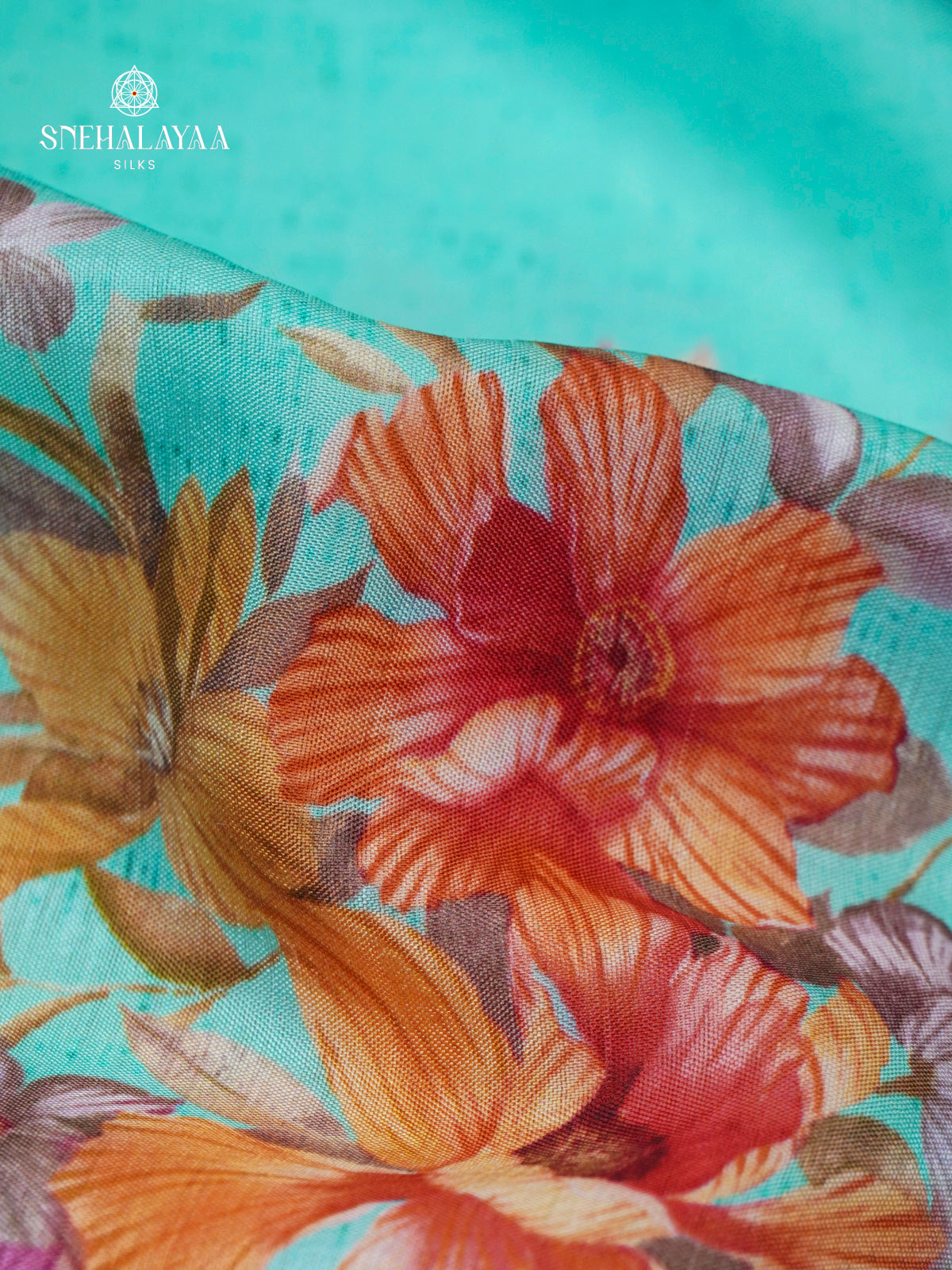 Sky Blue Banaras Dola Silk Saree