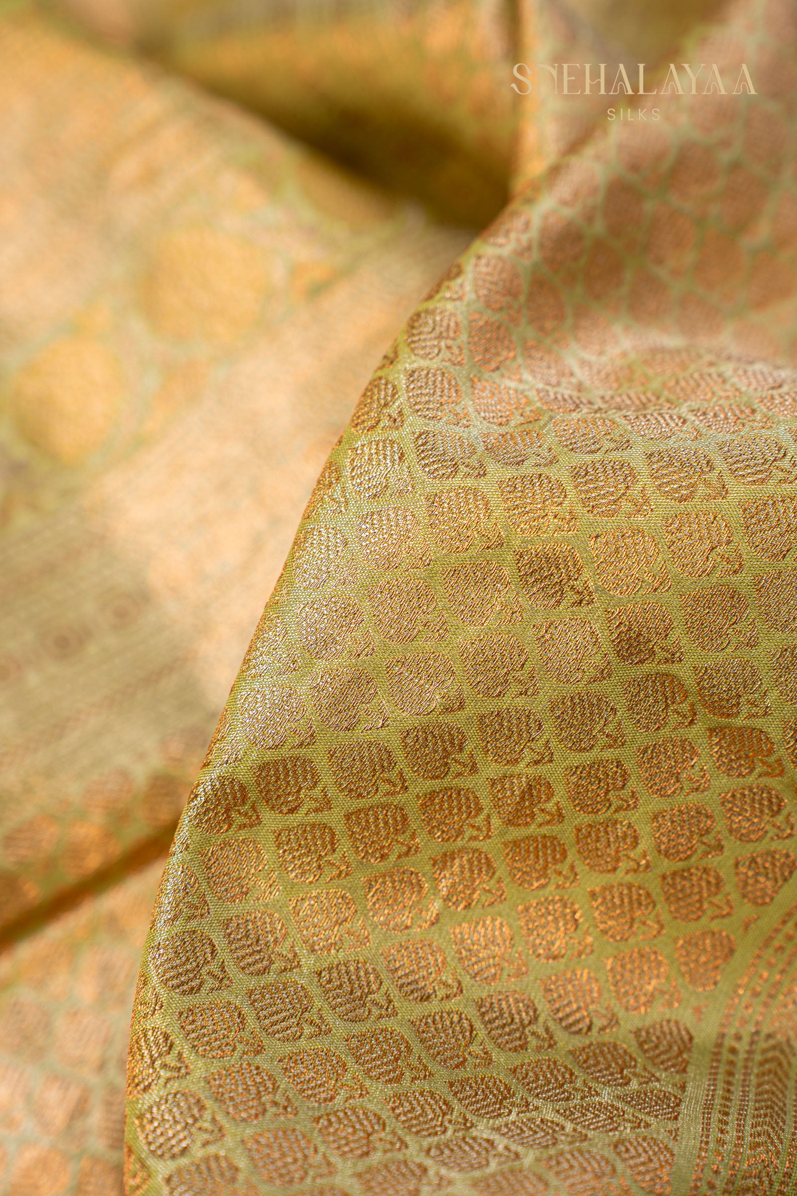 Gold Banaras Tissue Saree