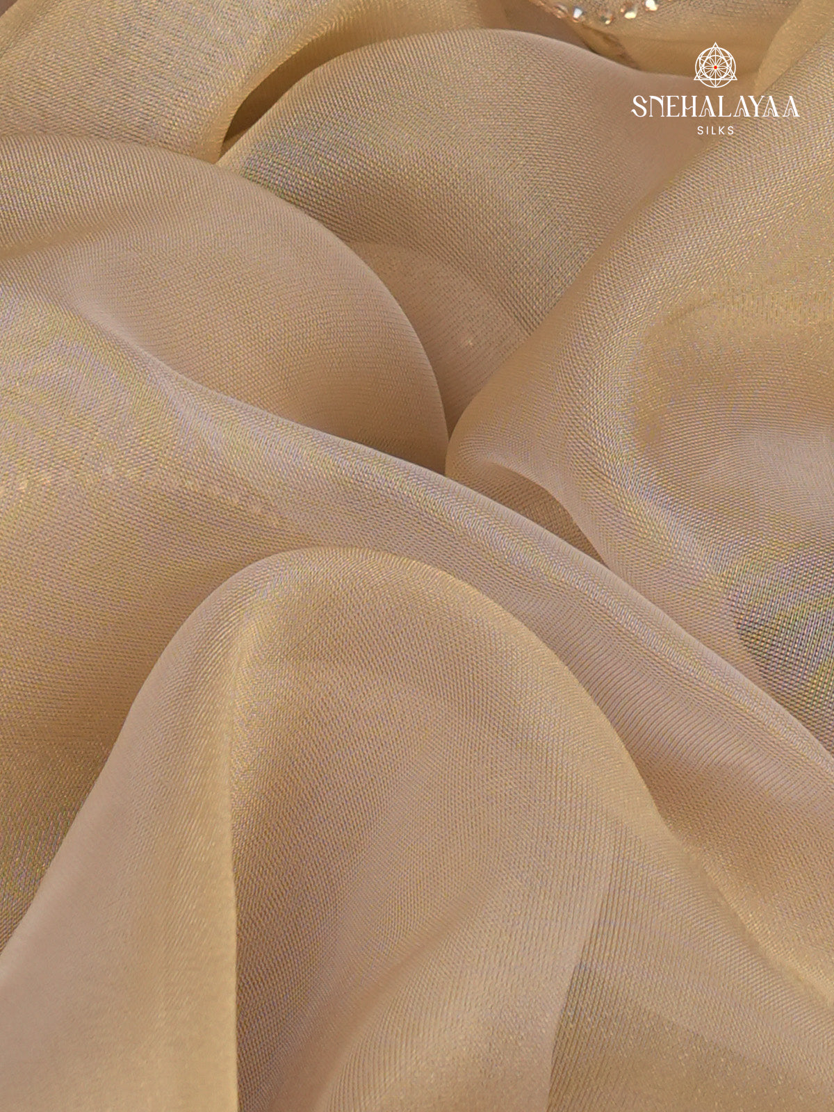 Cream Designer Saree