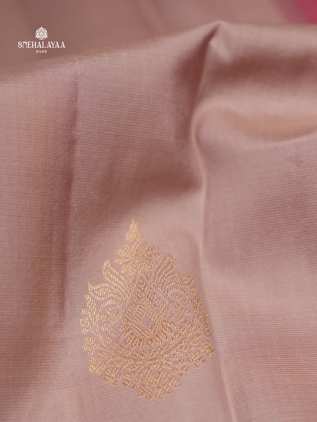 Beige Kanjivaram Silk Saree