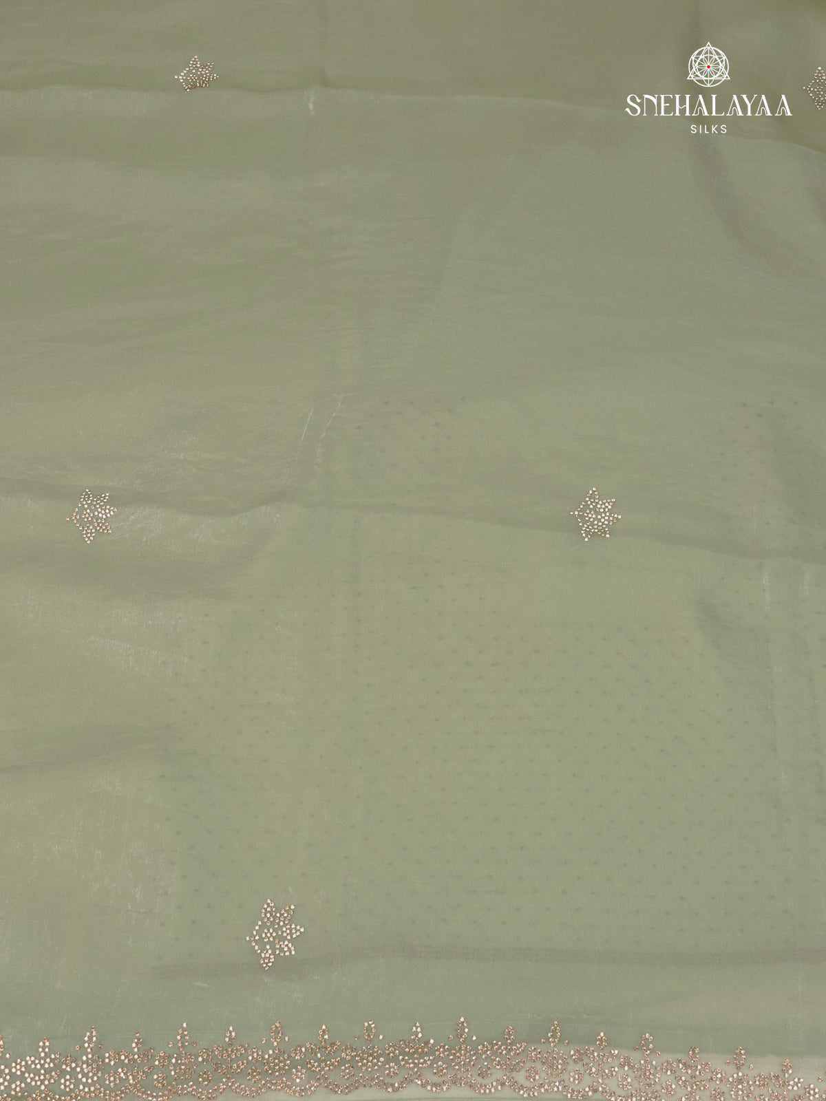 Pastel Green Designer Saree