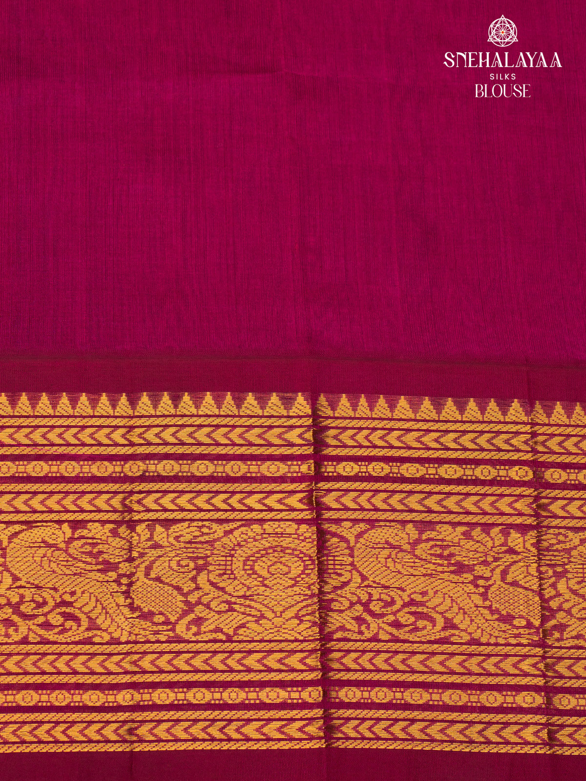 Blue Kanchi Silk Cotton Saree