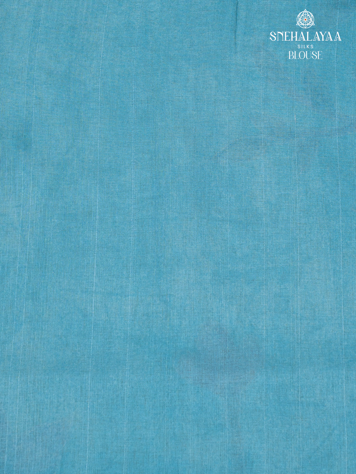 Pastel Blue Tussar Saree