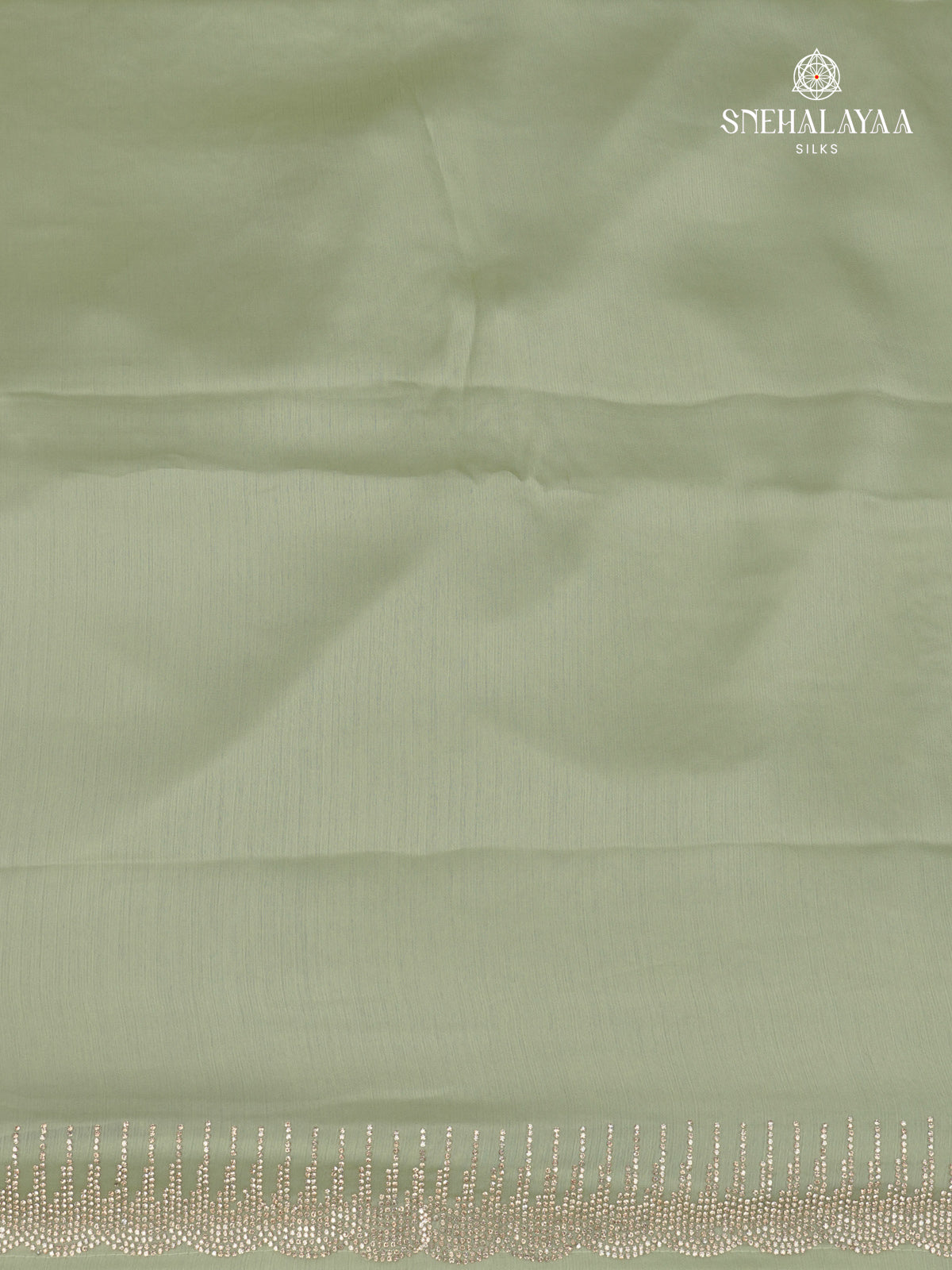 Pale Green Designer Saree