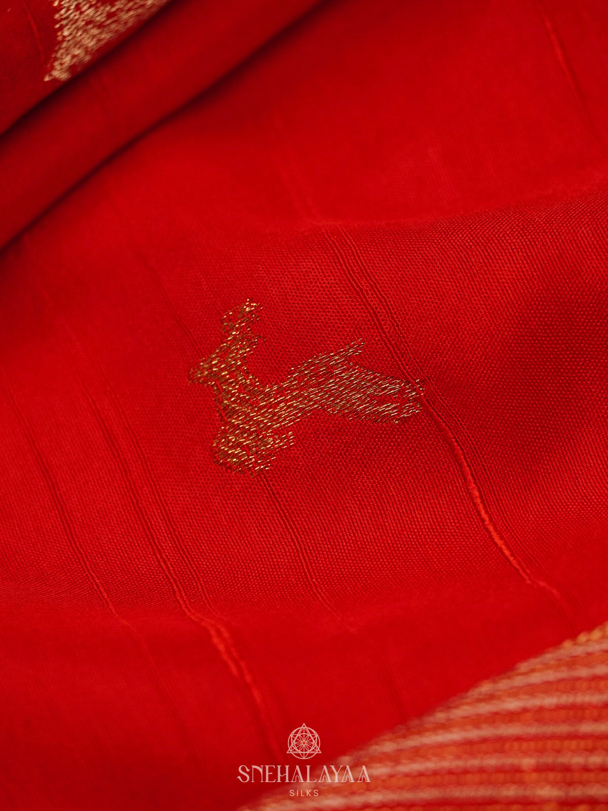 Rust Orange Banaras Saree