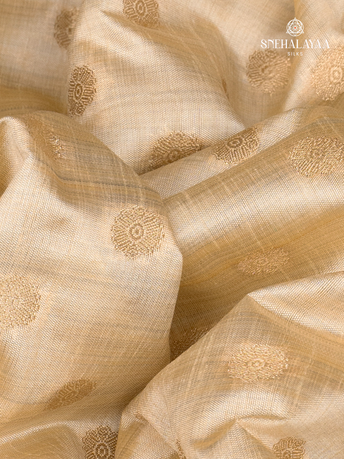 Beige Raw Silk Saree