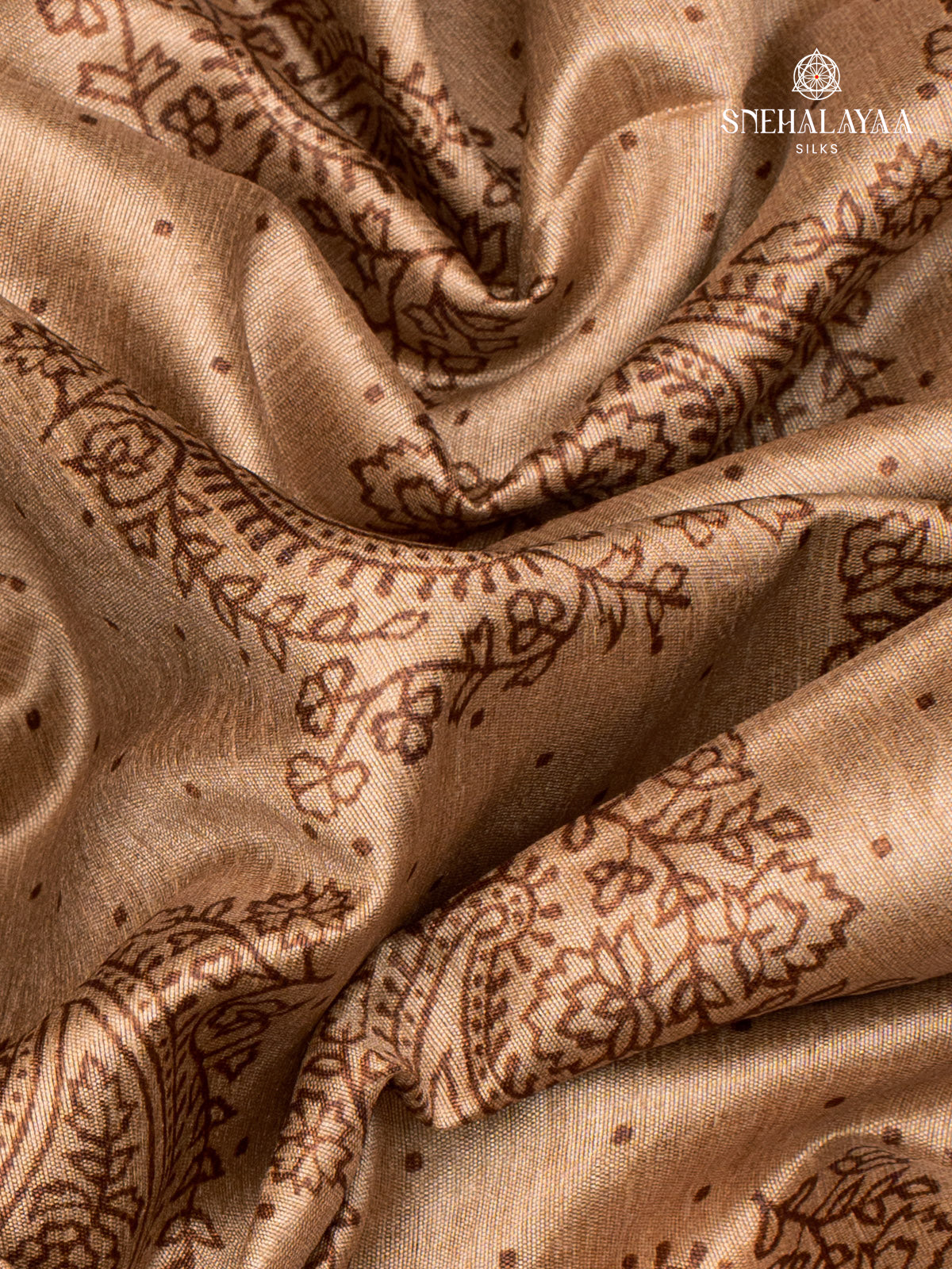 Brown Tussar Saree